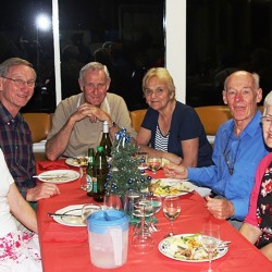 Christmas Party 20115